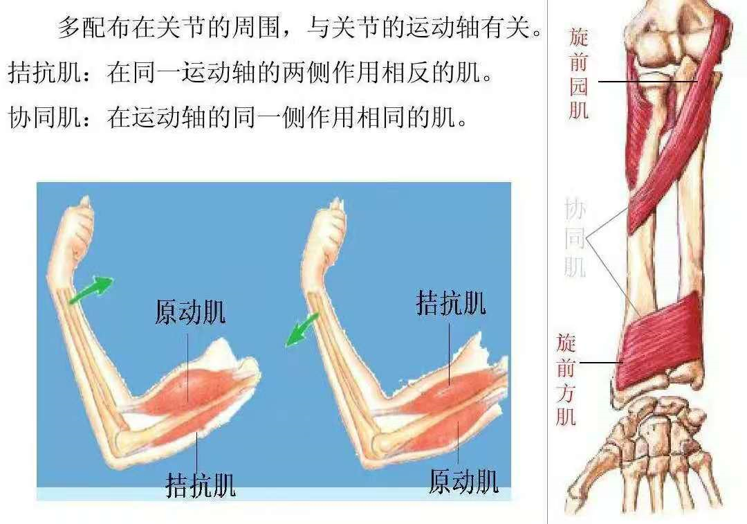 视频丨从“苏超”赛场到大众生活 运动数据分析师让科学运动有据可依(图1)