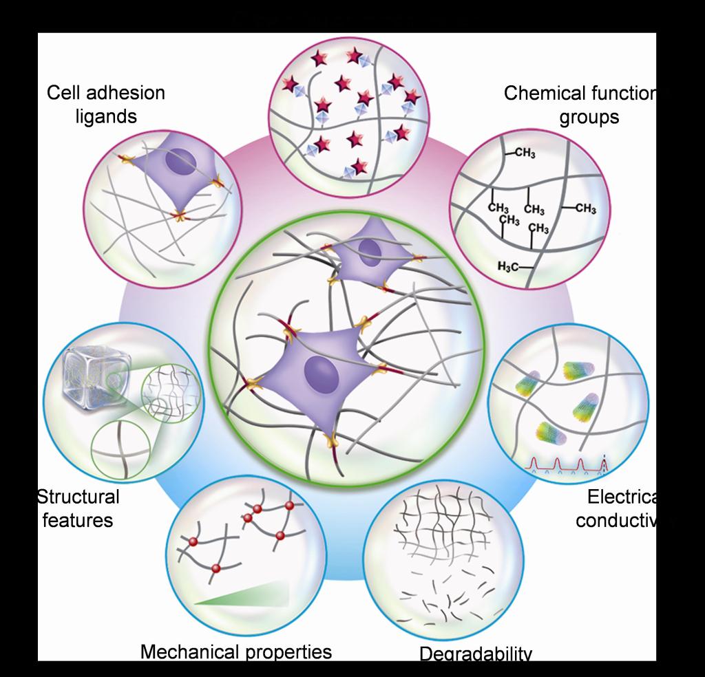 苏大维格一季度扣非净利增长超340% 将打造精密光设备和微纳光器件平台(图1)