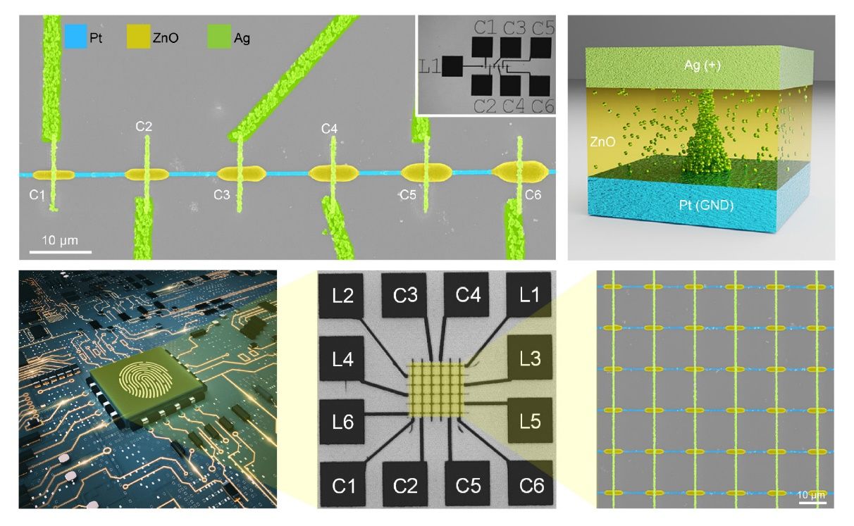 220颗卫星的“天瞳星座”建设开始启动计划下半年开始发射；中国光学超材料取得新突破为超材料研究及微纳光子学应用开辟了新路径——《投资早参(图1)