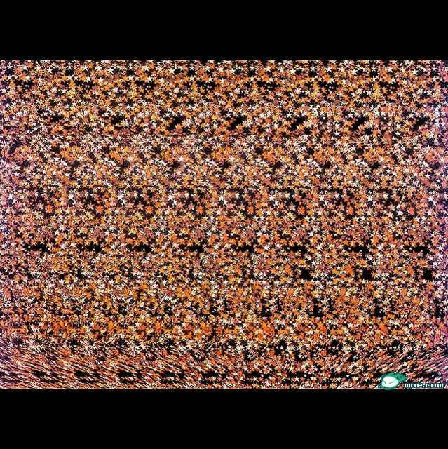 华翌博物馆藏品让人惊叹(图1)