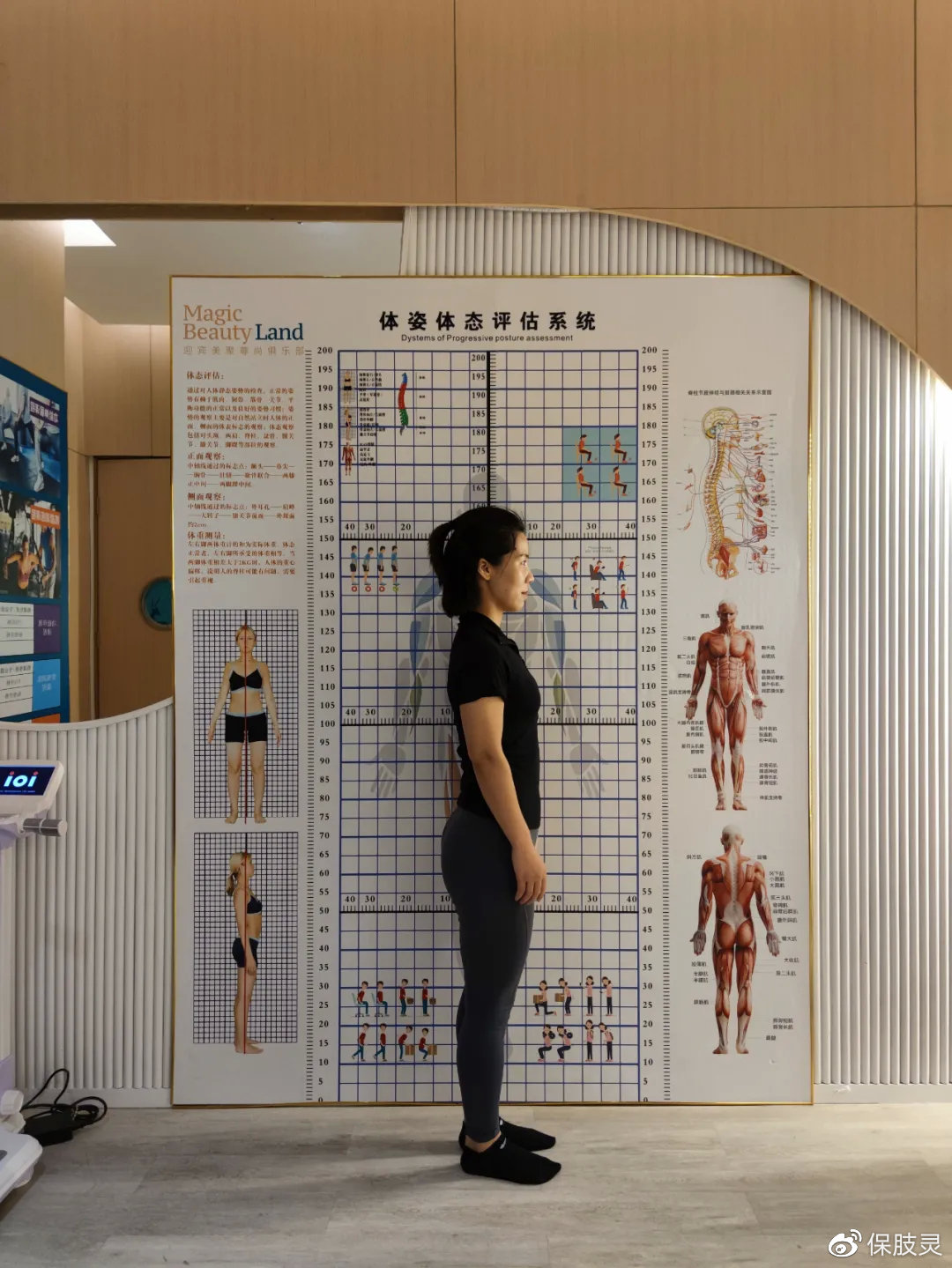 3d人体解剖软件(图1)
