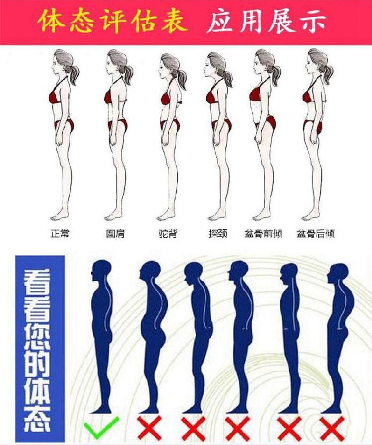 公司管理人员Word模板下载(图1)