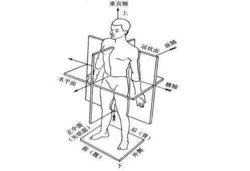 知服科技发布重要专利：基于AI与大数据的人体三维数据获取新方法(图1)