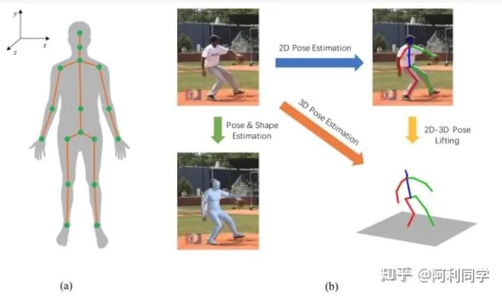 一种基于稀疏和深度的3D人体姿态估计方法(图1)